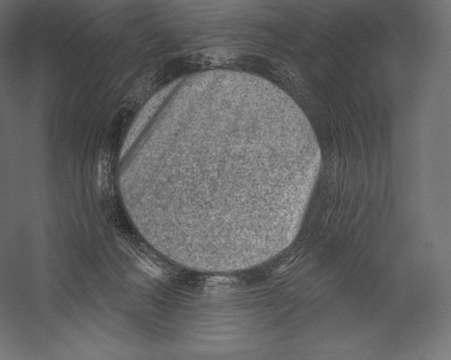 X0000060240222200511241342