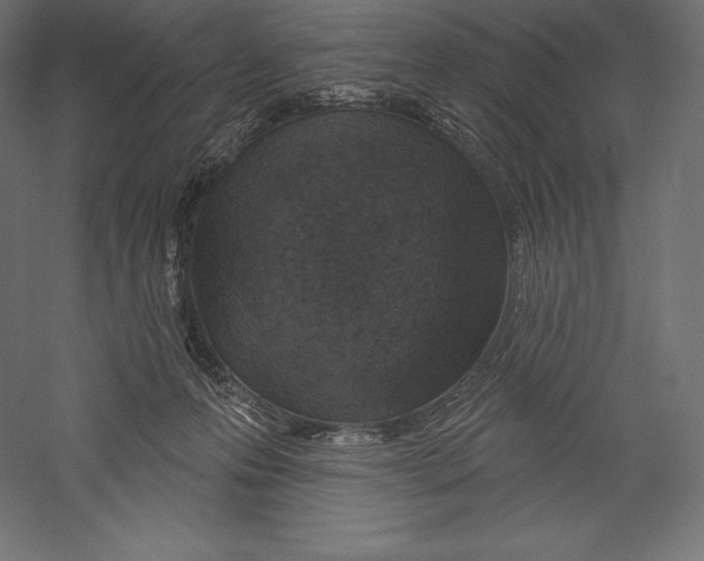 X0000060240223200511241342