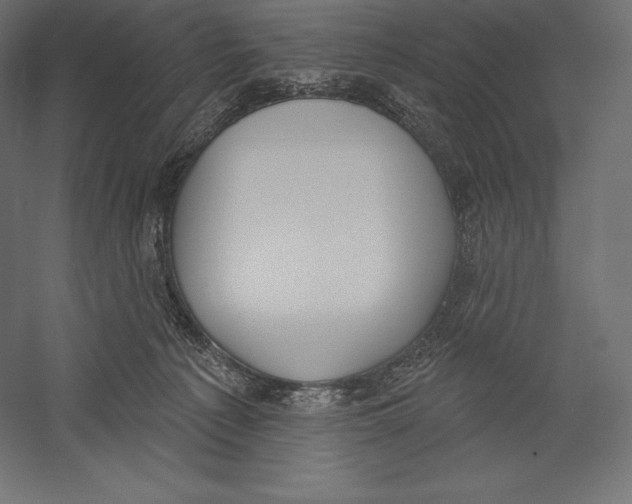X0000060240225200511241342
