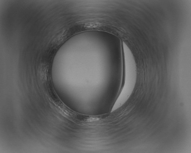 X0000060240227200511241342