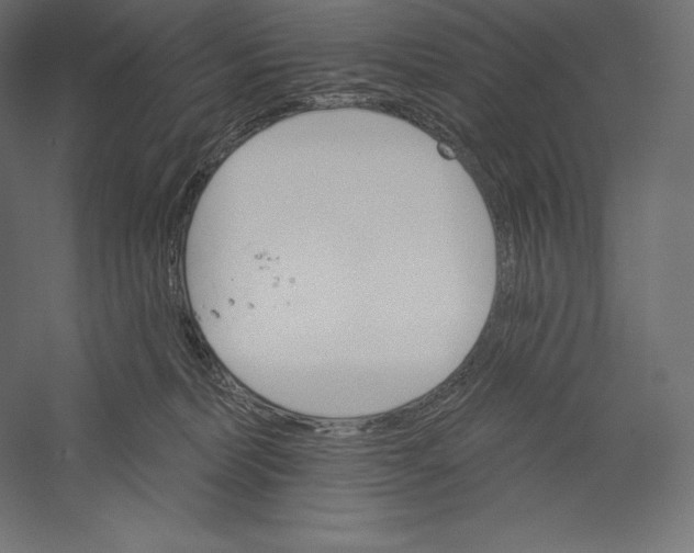 X0000060240228200511241342