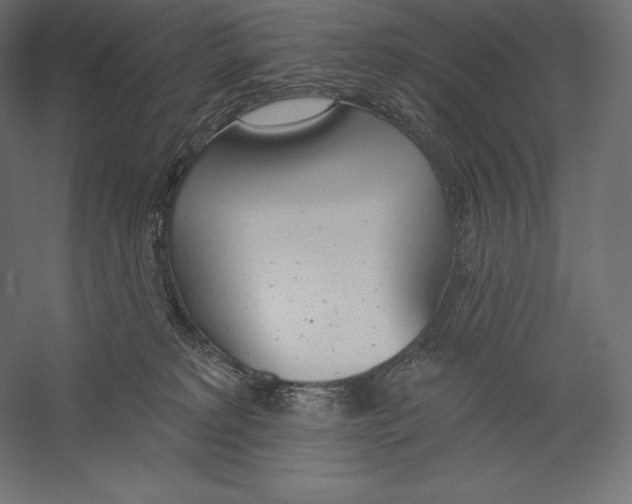X0000060240229200511241342