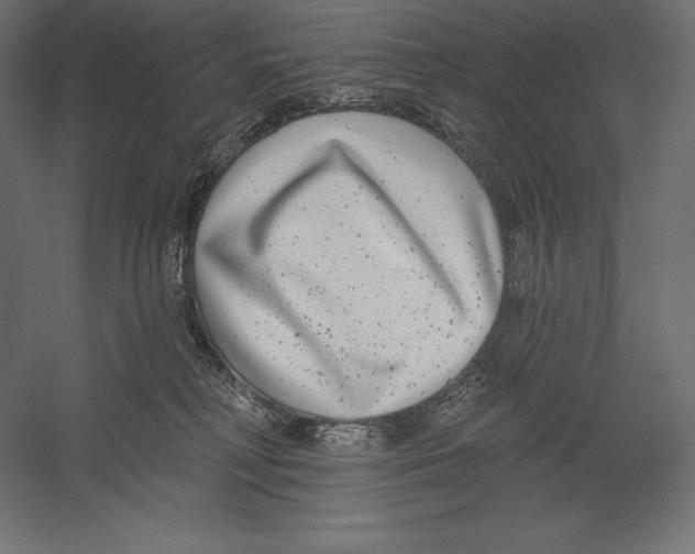 X0000060240230200511241342