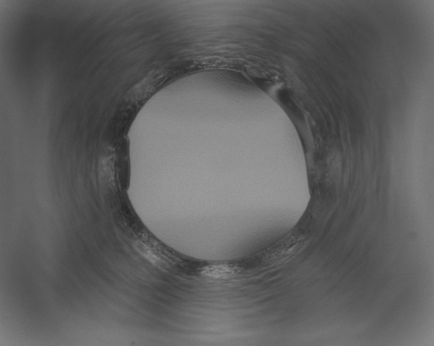 X0000060240231200511241342
