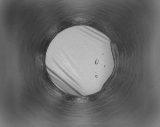 X0000060240232200511241342