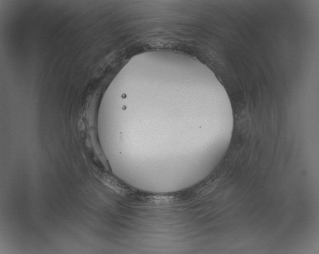 X0000060240233200511241342