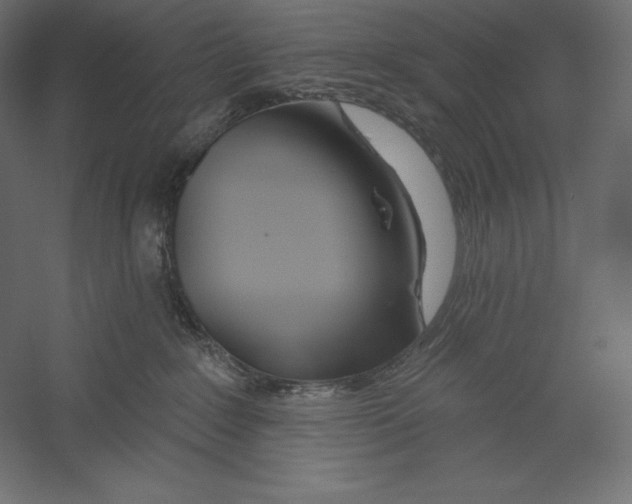 X0000060240235200511241342