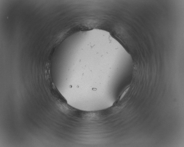 X0000060240237200511241342