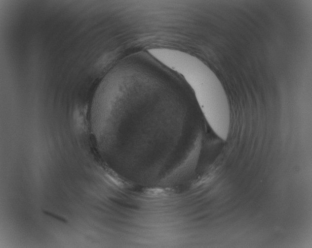 X0000060240239200511241342