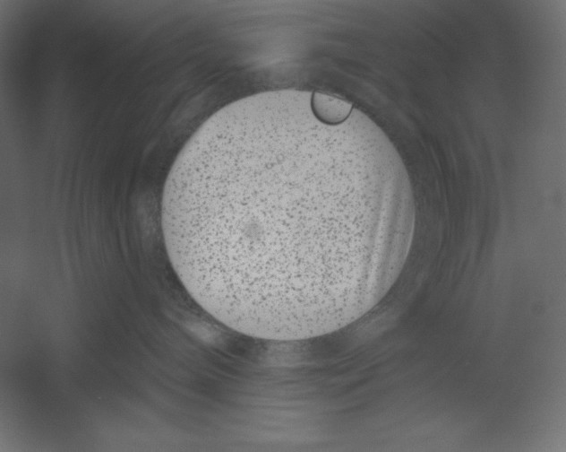 X0000060240240200511241342