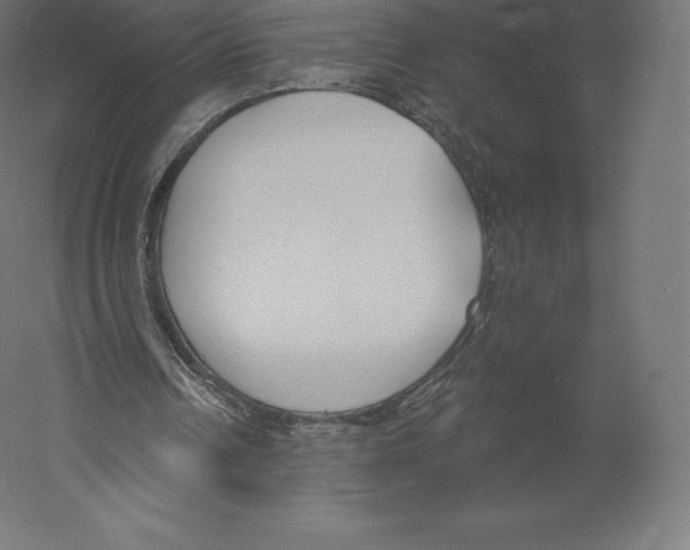 X0000060240242200511241341