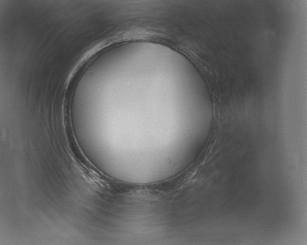X0000060240244200511241341