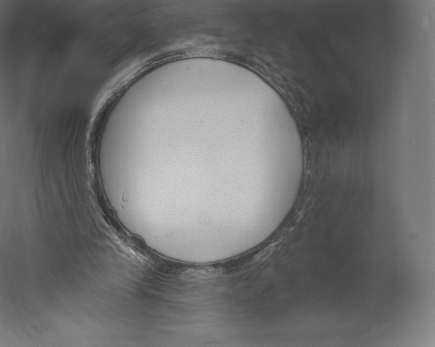 X0000060240245200511241341