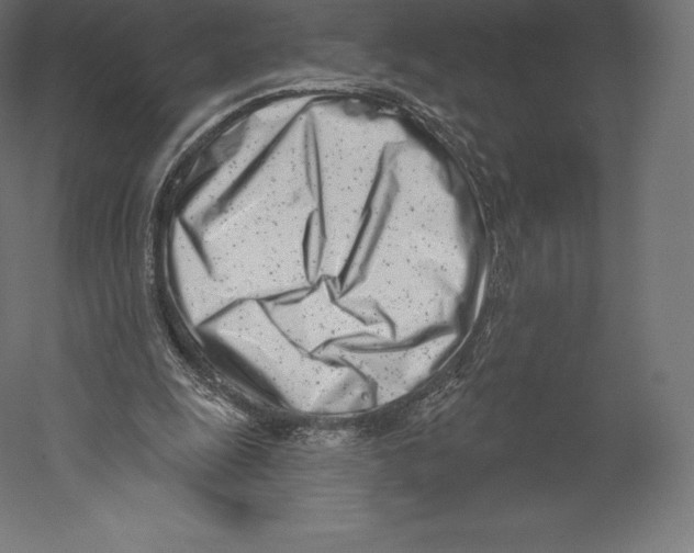 X0000060240247200511241341