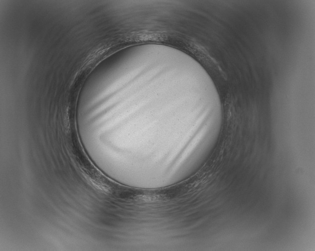 X0000060240250200511241341