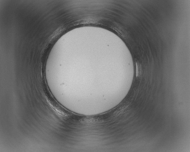 X0000060240253200511241341