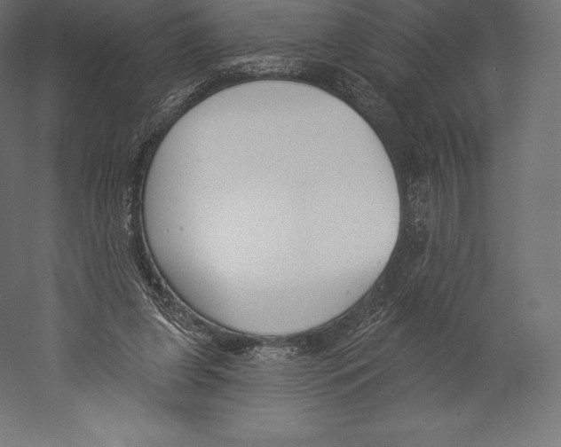 X0000060240255200511241341