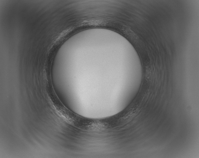 X0000060240256200511241341