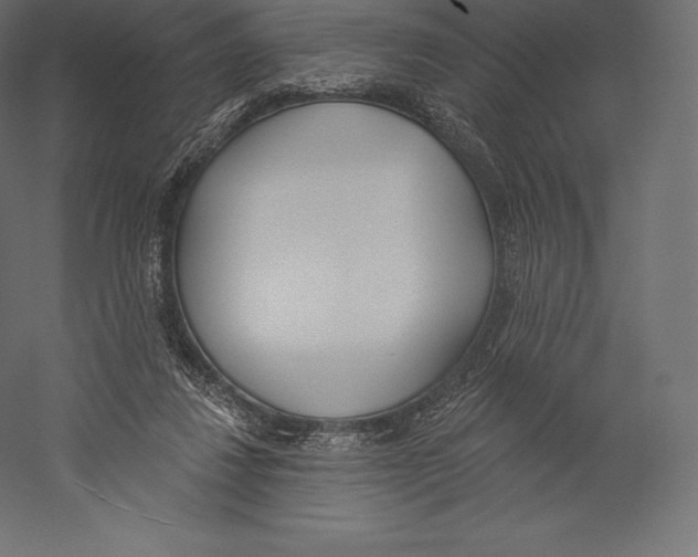 X0000060240260200511241341