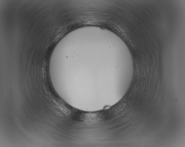 X0000060240265200511241341