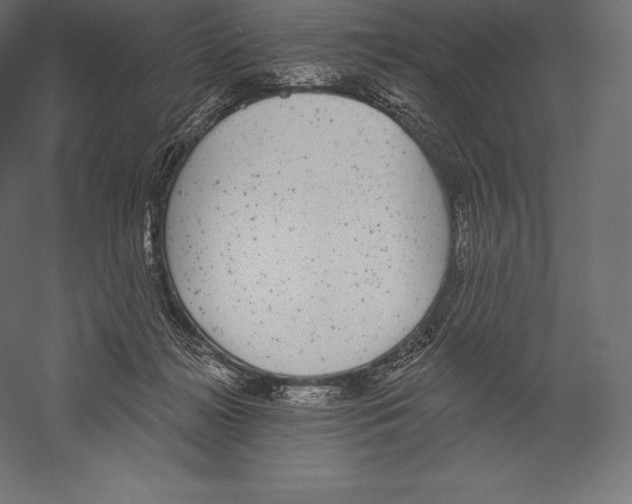 X0000060240268200511241341