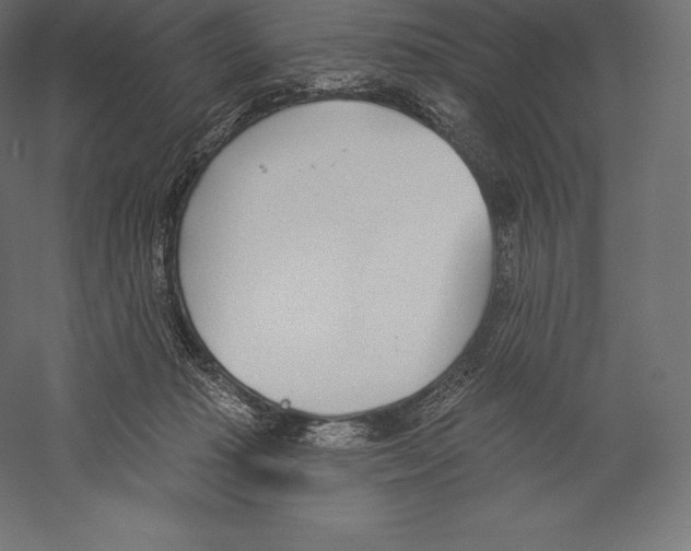 X0000060240269200511241341