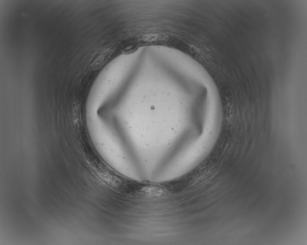 X0000060240272200511241341