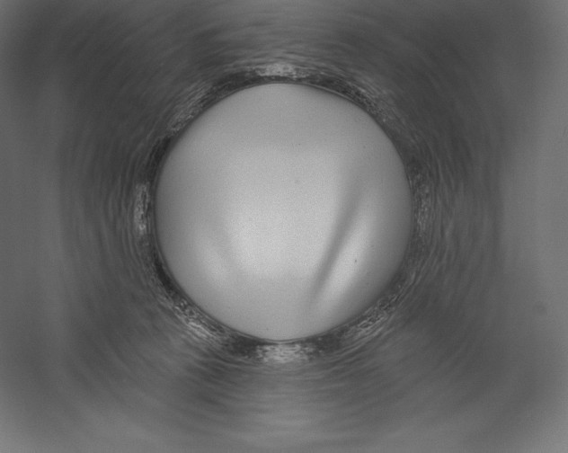 X0000060240273200511241341