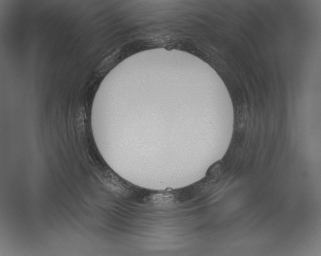 X0000060240279200511241341