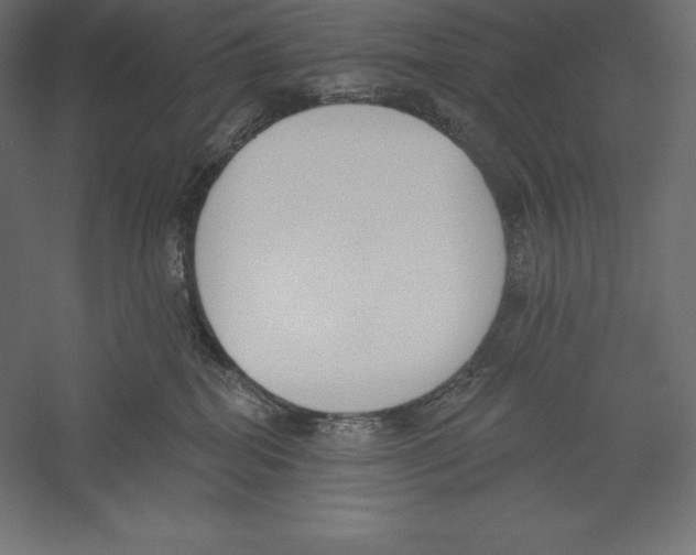 X0000060240282200511241342