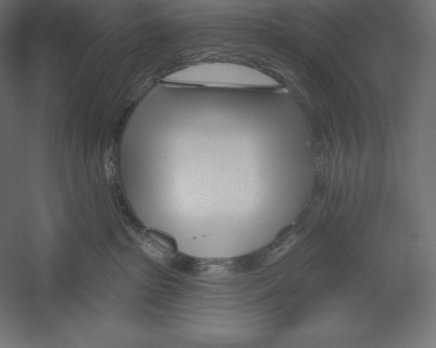 X0000060240285200511241342