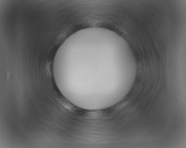 X0000060240286200511241342