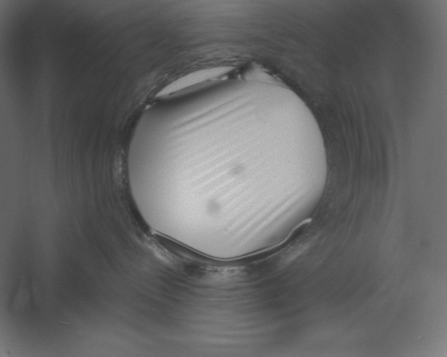 X0000060240288200511241342