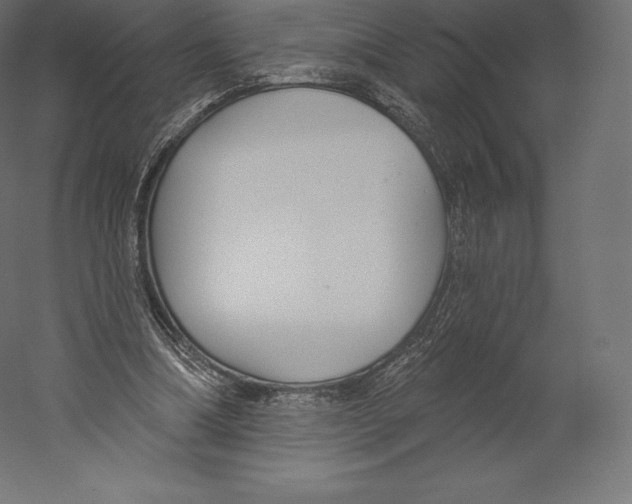 X0000060240298200511241341