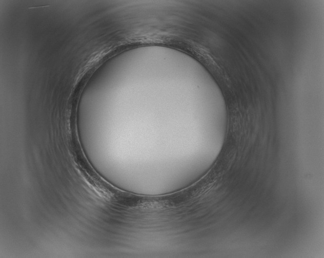 X0000060240299200511241341