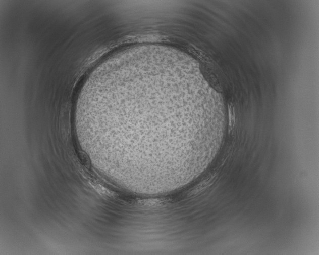 X0000060240301200511241341