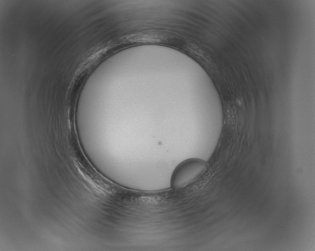 X0000060240302200511241341