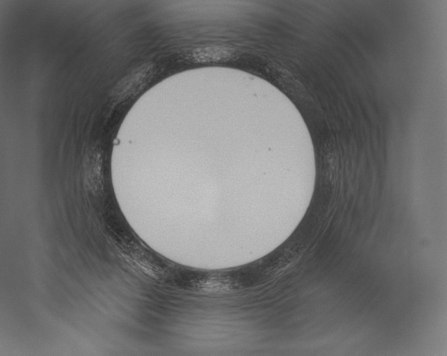 X0000060240308200511241340
