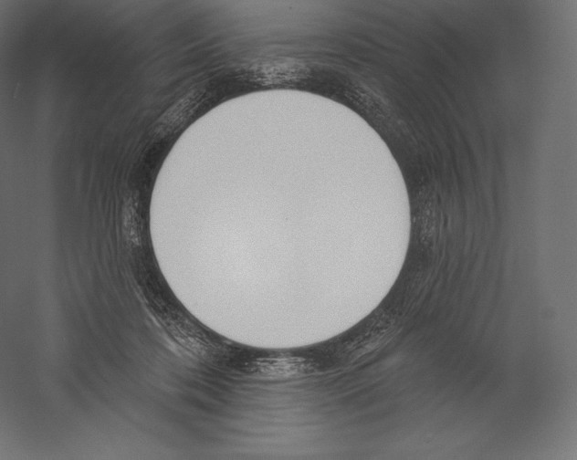 X0000060240316200511241340