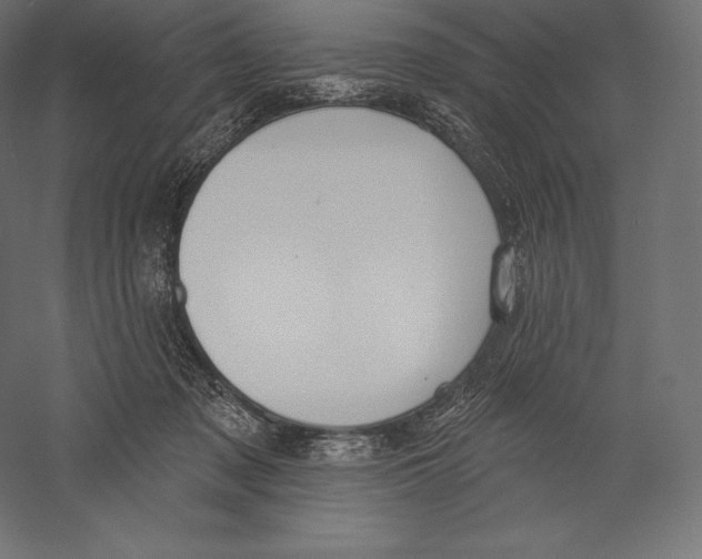 X0000060240317200511241340