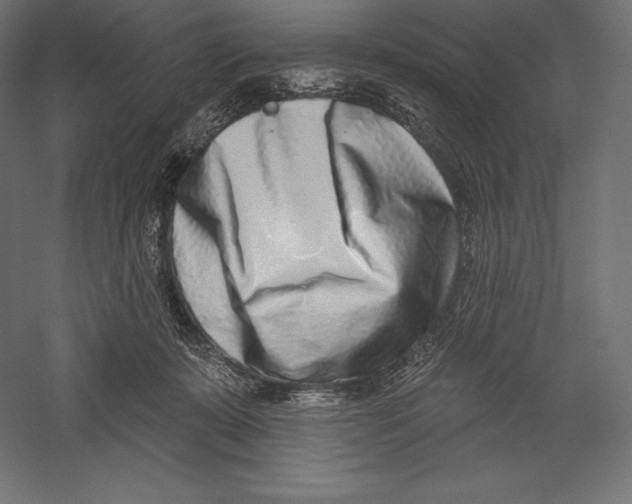X0000060240319200511241340