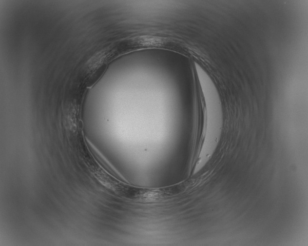 X0000060240325200511241340