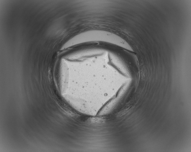 X0000060240327200511241340