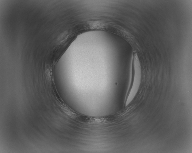 X0000060240329200511241340
