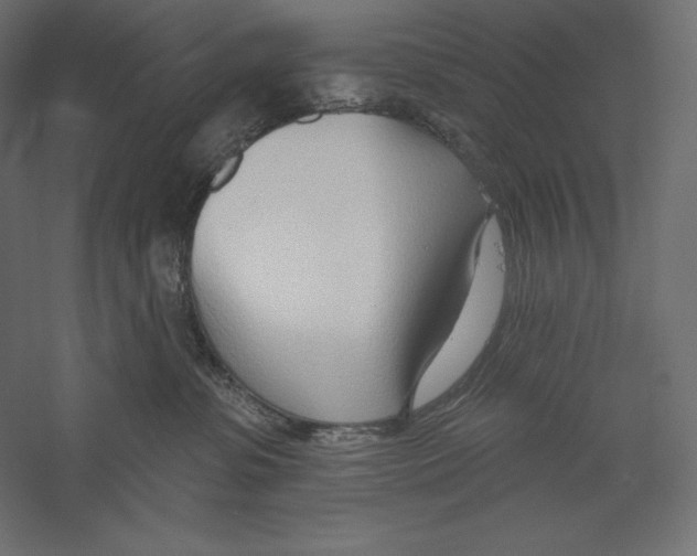 X0000060240331200511241340