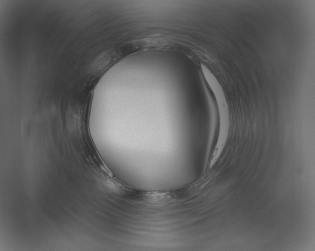 X0000060240333200511241340