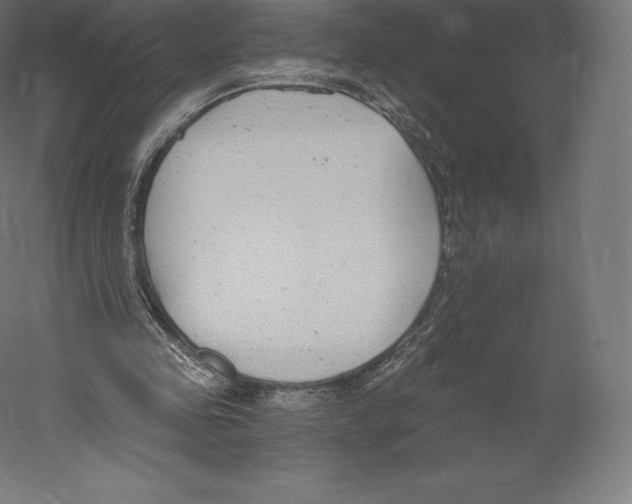 X0000060240341200511241339