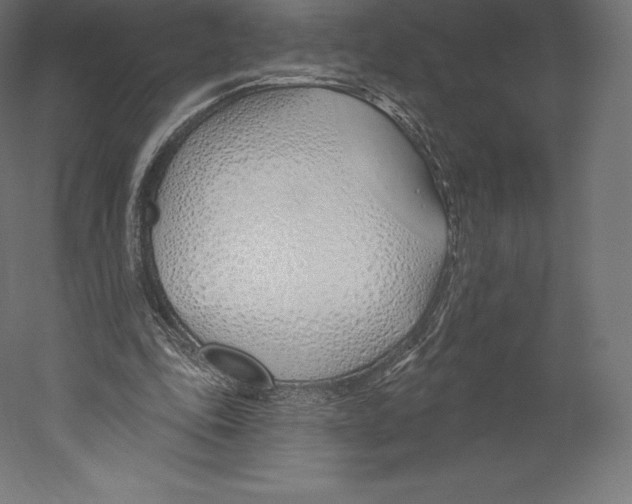 X0000060240343200511241339
