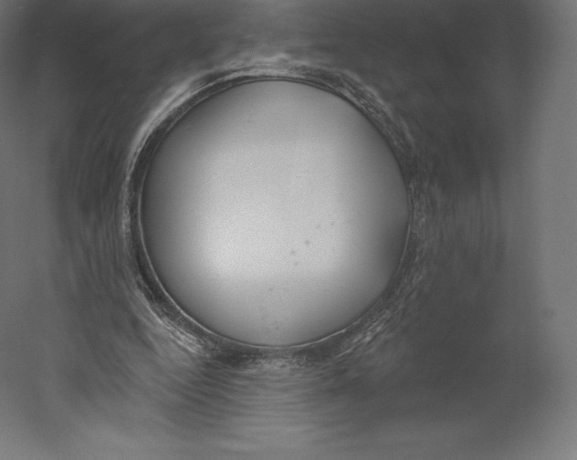 X0000060240344200511241339