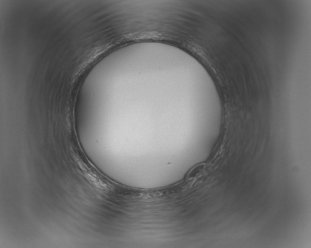 X0000060240345200511241339